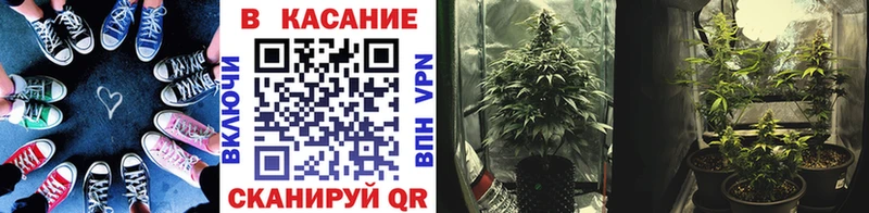 A-PVP Новочеркасск