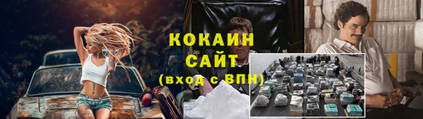 шишки Алексин