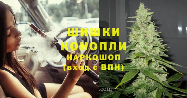 шишки Алексин