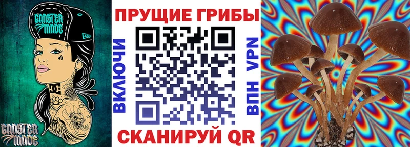 Галлюциногенные грибы мухоморы  Новочеркасск 