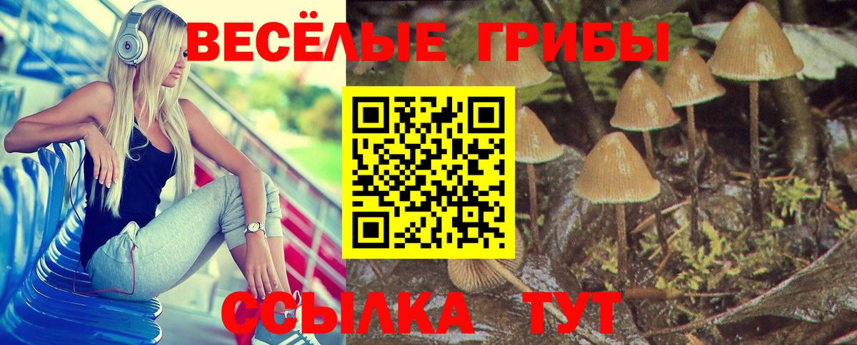 Галлюциногенные грибы MAGIC MUSHROOMS Новочеркасск