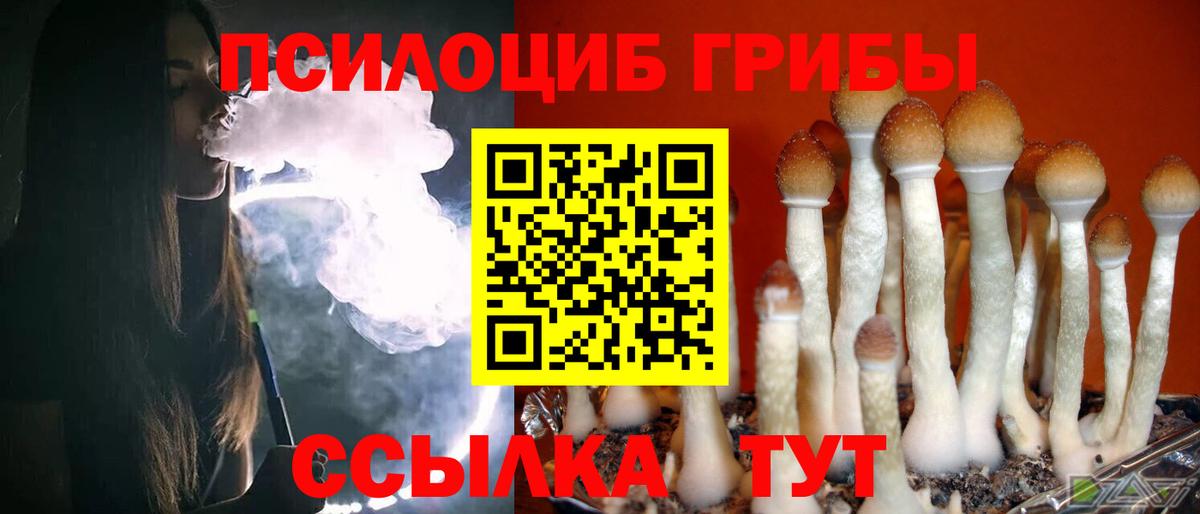 где купить наркоту  Псилоцибиновые грибы Magic Shrooms  Вход с VPN  Новочеркасск 