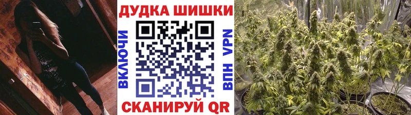 Шишки марихуана OG Kush наркота Новочеркасск